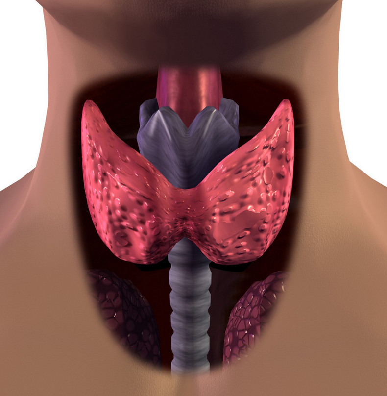 Щитовидная железа и ее заболевания — опасные симптомы и их последствия * клиника диана в санкт-петербурге
